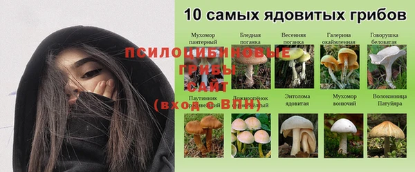 эйфоретик Магас