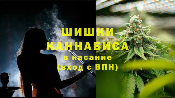винт Мегион
