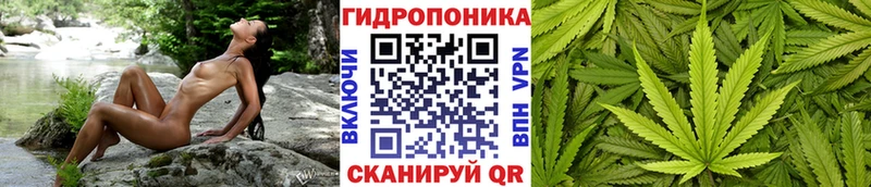 мега ONION  Среднеколымск  МАРИХУАНА SATIVA & INDICA 
